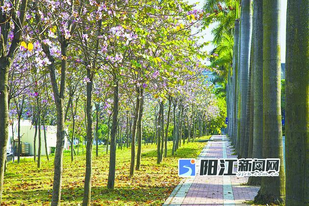 匠心打造粤剧艺术博物馆 西园十景传粤音