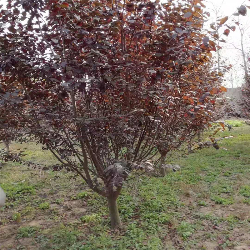 汇绿生态跌272%成交额683亿元后市是否有机会？